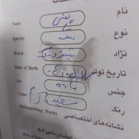 فروش بعلت نبودوقت