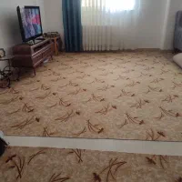 موکت|موکت|لنگرود, |دیوار