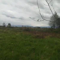 500متر خانه زمین با امتیازات کامل|فروش خانه و ویلا|احمدسرگوراب, |دیوار