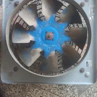 دوتا فن سالم