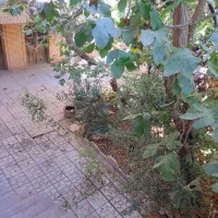 فروش خانه ویلایی سرسبز 387 متری در ابن سینا|فروش خانه و ویلا|اصفهان, شهشهان|دیوار