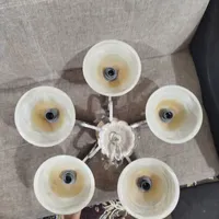 5 عدد لوستر 5 شاخه