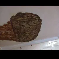 گچکاری گچ کاری گچبری لکه کاری