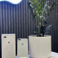 iPhone 8 Plus 64G از دم قسط و نقدی|موبایل|کرج, مهرویلا جنوبی|دیوار