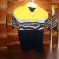 تیشرت شیک پسرونه|لباس|ملایر, |دیوار