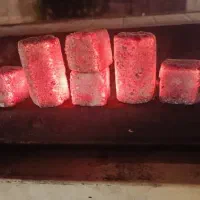 زغال فشرده پسته صادراتی|عمده‌فروشی|سمنان, |دیوار