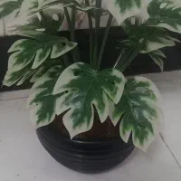 گل مصنوعی