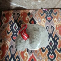 لبوبو کوکاکولا