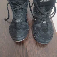 کتانی کشتی سایز ۴۱|کیف، کفش، کمربند|بشاریات, |دیوار