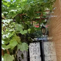 خانه-ویلایی-باغ-مسکونی-اجاره