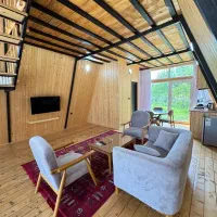 کلبه سوئیسی کنار مرداب بندر انزلی