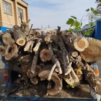 خرید انواع چوب در محل