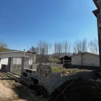 فروش زمین ۲۵۰ متری مسکونی در کلاردشت