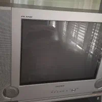 تلویزیون