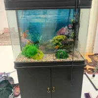 اکواریوم جای ماهی