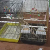 اهن|اسباببازی بچه|فسا, |دیوار