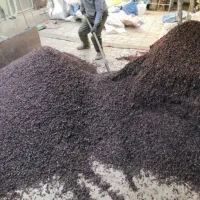 انواع کشمش افتابی