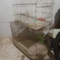 قفس پرنده