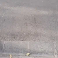 نظافت منزل فقط راه پله و پارکینگ ،از ۸ تا ۱۲ ظهر