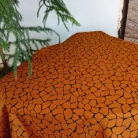 پارچه|لباس|لاجان, |دیوار