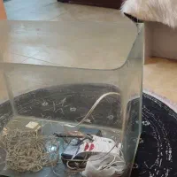 آکواریوم شیشه خم|ماهی|دورود, |دیوار