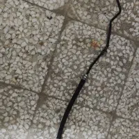 شیلنگ هیدرولیک. اویل پمپ. طبق|قطعات یدکی و لوازم جانبی|قزوین, |دیوار