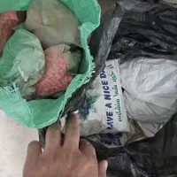 گلدان و سنگ رنگی و پوکه|صنایع دستی و سایر لوازم تزئینی|قم, قلعه یزدیها|دیوار