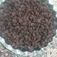 کشمش افتابی بی دانه|عمدهفروشی|تاکستان, |دیوار