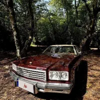 اجاره ماشین کلاسیک برای عروسی،فرمالیته و ...|خودرو اجارهای|نوشهر, |دیوار