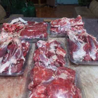 گوسفند(بره نر ماده میش بز بزغاله)کوهستانی|حیوانات مزرعه|هشتگرد, هشتگرد قدیم|دیوار