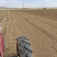 خدمات کشاورزی کار با تراکتور شخم چیزل کاشت گندم|خدمات باغبانی و درختکاری|شازند, |دیوار