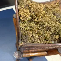 گلدان چوبی کنارسالنی بامبو|صنایع دستی و سایر لوازم تزئینی|تهران, ویلاشهر|دیوار