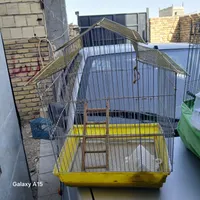 علی آبادگونه
