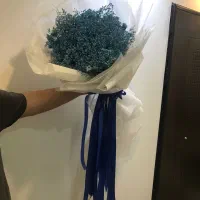 دسته گل ژیپسوفیلیا زیبا و ماندگار|گل و گیاه طبیعی|شیراز, قدوسی شرقی|دیوار