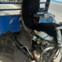 سه چرخ|موتورسیکلت|تربت جام, شهرک معلم|دیوار