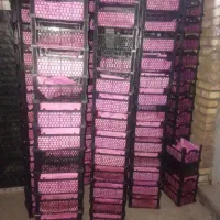 سبدپلاستیکی ۳کیلویی