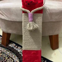 اسکرچر گربه رایگان