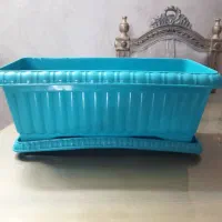 دوعدد باکس گل بازیره نونو