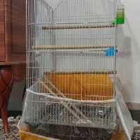 قفس پرنده بزرگ
