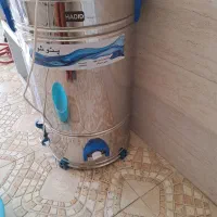 پتوشو ۳۵ کلیویی