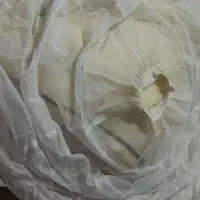 لباس عروس|لباس|رباط‌کریم, رباط‌کریم|دیوار