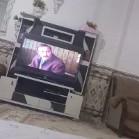 تلوزیون