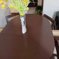 میزوصندلی چوبی تاشو و چرخ دار۴نفره