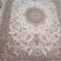 فرش|فرش|بندرعباس, |دیوار