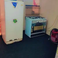 اجاره روزانه سوئیت خونه منزل آپارتمان مبله حیاط دا|اجارهٔ کوتاه‌مدت آپارتمان و سوئیت|شیراز, شهرک سراج‎|دیوار