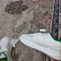 کفش بچگانه|کیف، کفش، کمربند|دورود, |دیوار