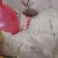 اسباب بازی وسایل بازی میز تحریر|اسباببازی بچه|اراک, |دیوار