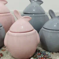 سرویس پاسماوری