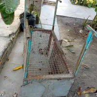 درب لونه پرنده ی با قفس