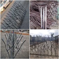 حفاظ شاخ گوزنی و نرده (باهرمبلغی) شروع ازمتری۳۵۰ت|مصالح و تجهیزات ساختمان|قم, نیروگاه|دیوار